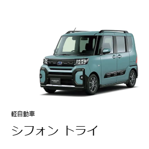 �X�o���@�V�t�H���g���C